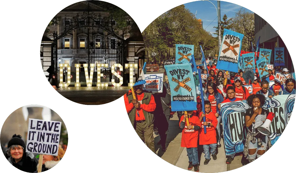 Global Fossil Fuel Divestment Database Website preview