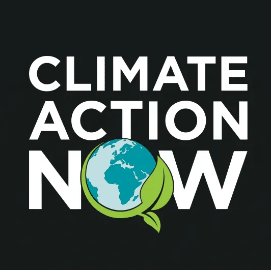 Climate Action Now Website preview